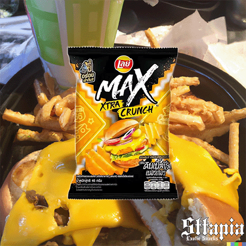 Lays Cheeseburger Max From Thailand Exotic Snacks